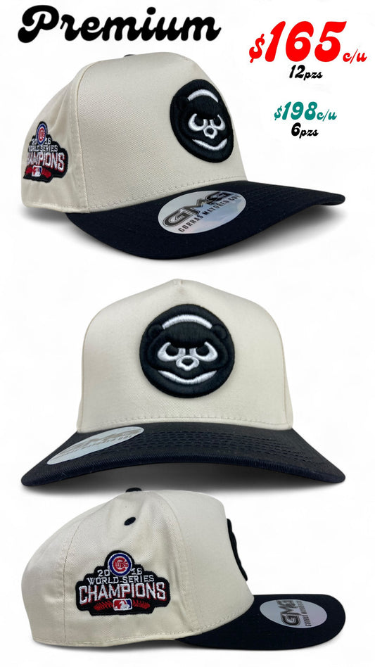 Gorra Premium Chicago CBS